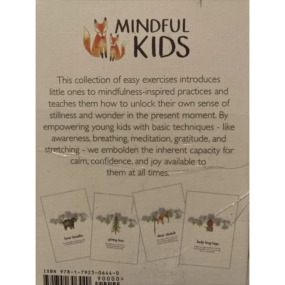 LITTLE RENEGADES Mindful Kids Cards Everyday Exercises Mindfulness Stillness....